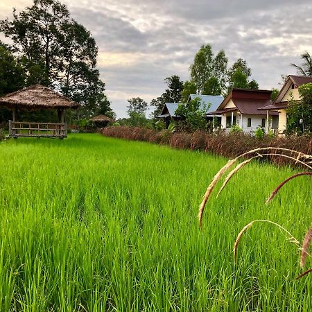 Baan Thung Home Stay Prasat Ngoại thất bức ảnh