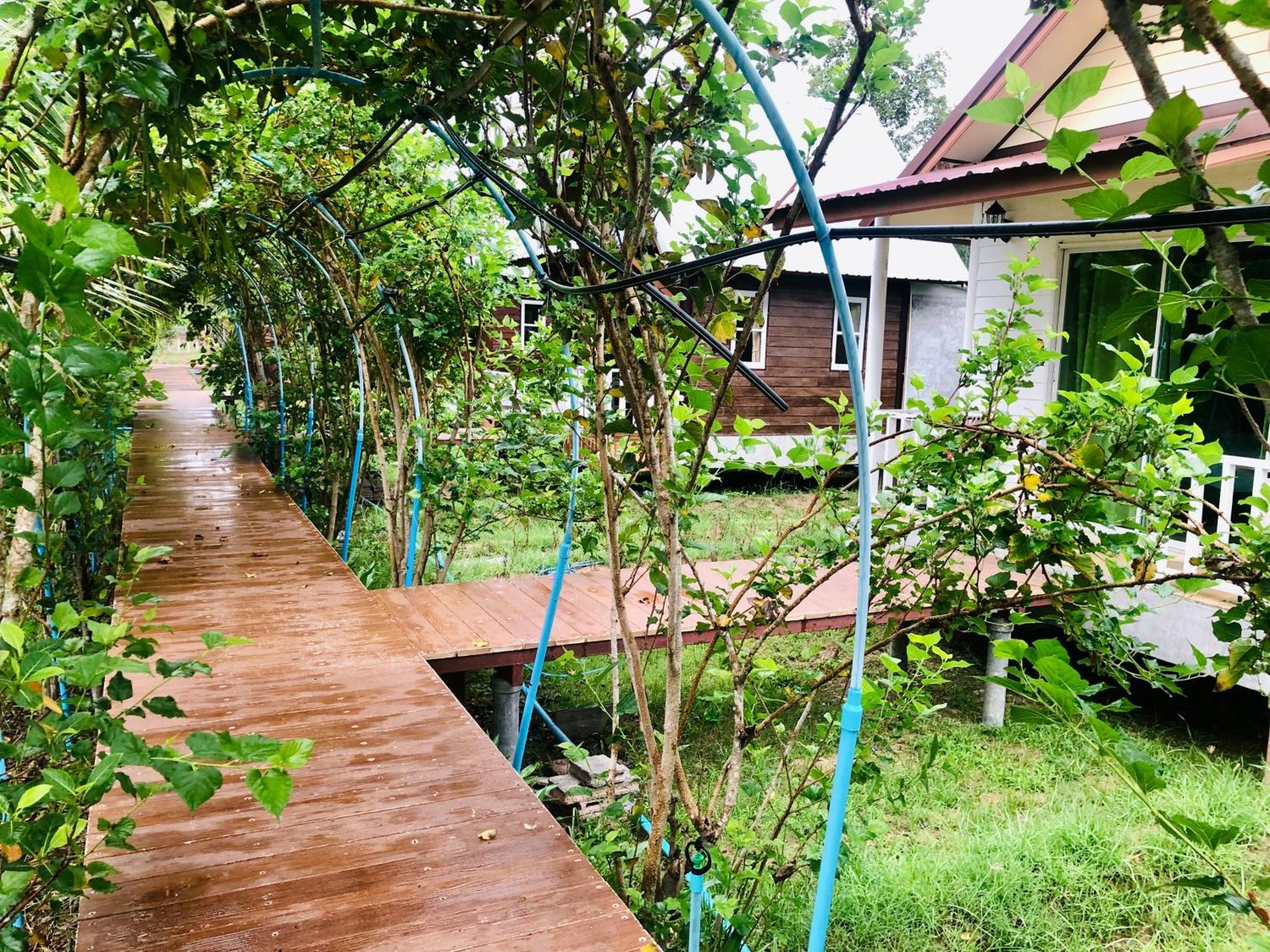 Baan Thung Home Stay Prasat Ngoại thất bức ảnh