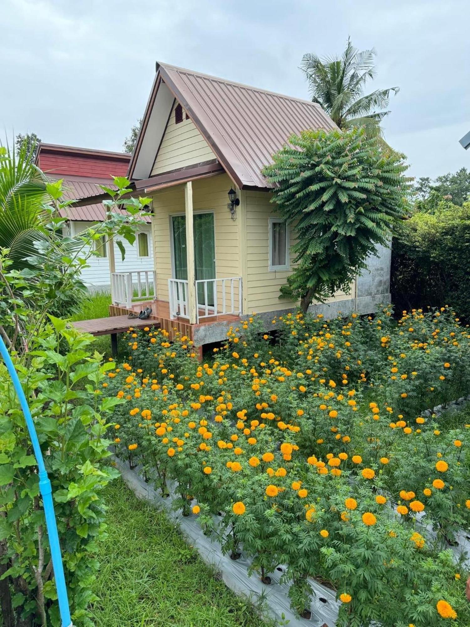 Baan Thung Home Stay Prasat Ngoại thất bức ảnh