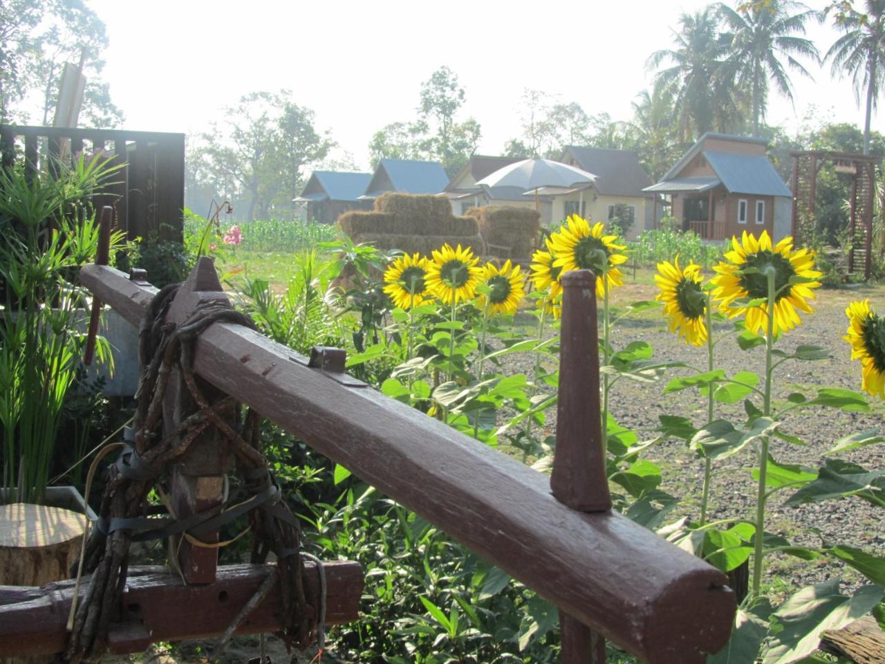 Baan Thung Home Stay Prasat Ngoại thất bức ảnh