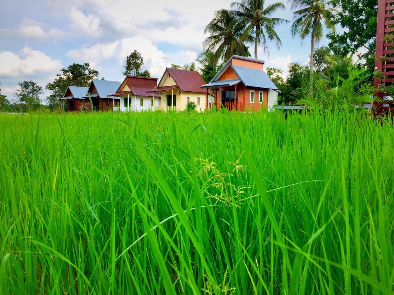 Baan Thung Home Stay Prasat Ngoại thất bức ảnh