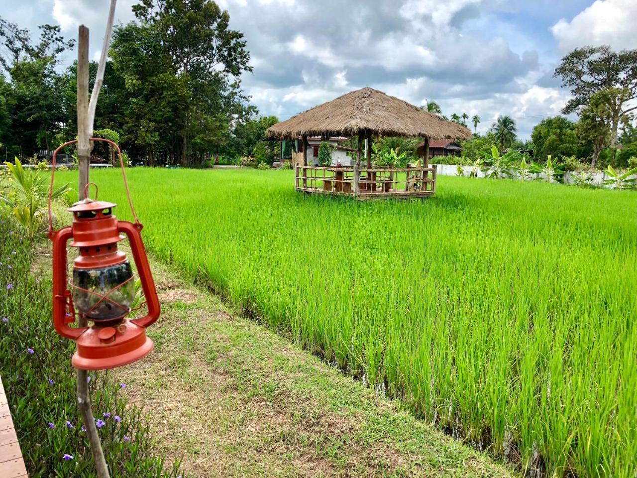 Baan Thung Home Stay Prasat Ngoại thất bức ảnh