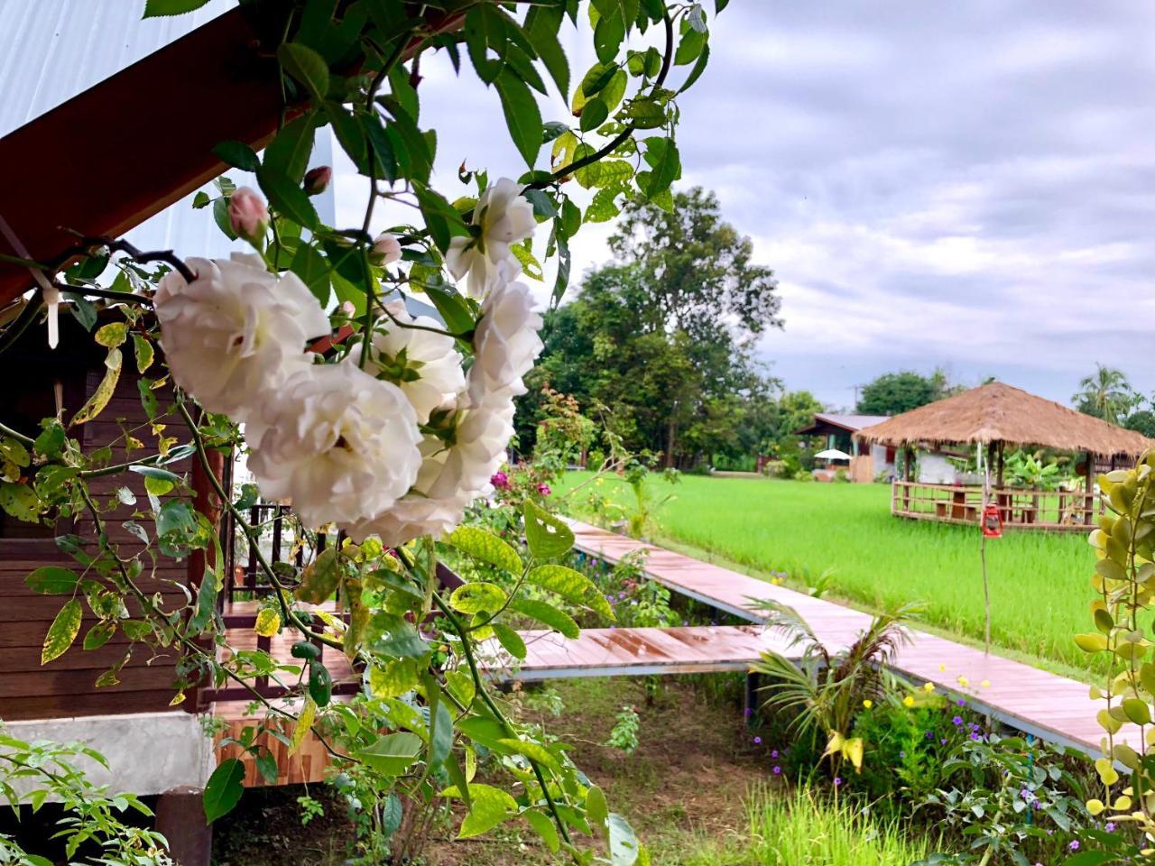 Baan Thung Home Stay Prasat Ngoại thất bức ảnh