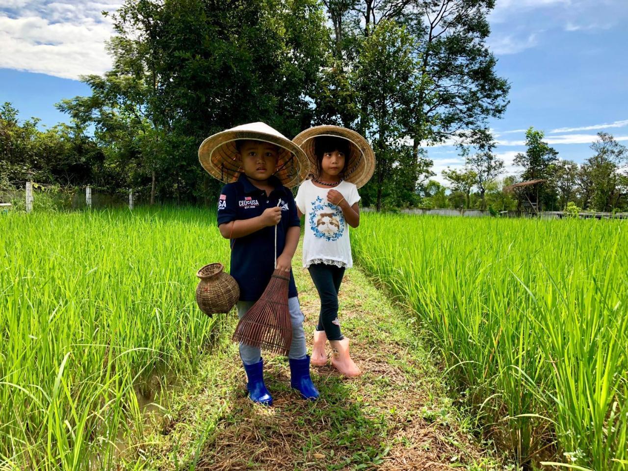 Baan Thung Home Stay Prasat Ngoại thất bức ảnh