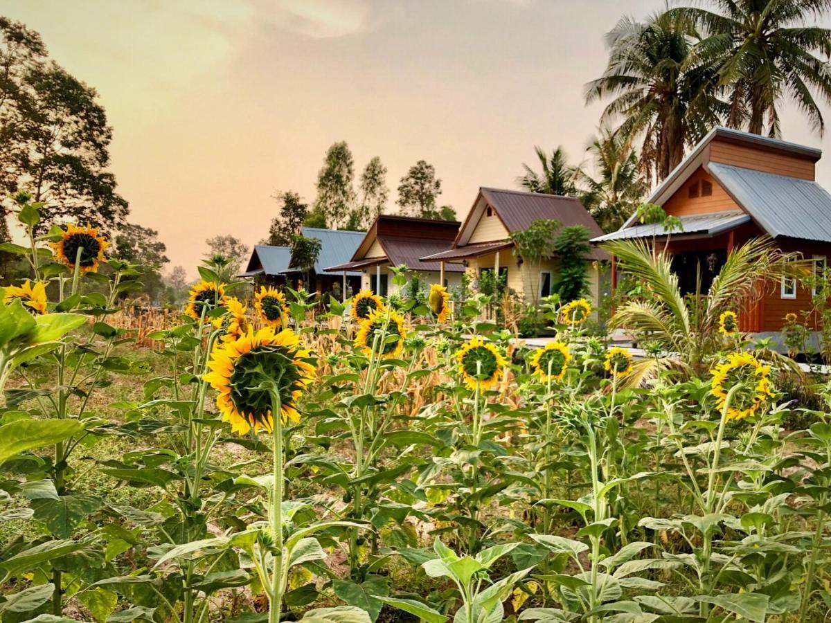 Baan Thung Home Stay Prasat Ngoại thất bức ảnh