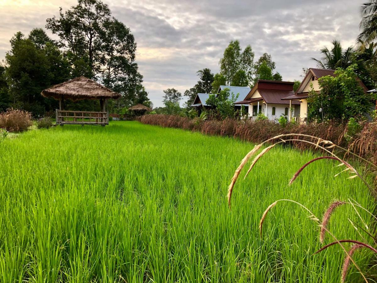 Baan Thung Home Stay Prasat Ngoại thất bức ảnh